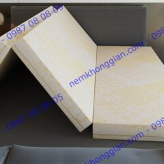 NỆM GẤP 3 CAO SU BÔNG TITANIUM