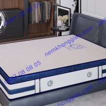 NỆM LÒ XO TÚI PLATINUM