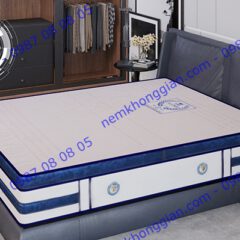 NỆM LÒ XO TÚI PLATINUM