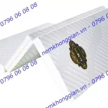 NỆM BÔNG ACNESS – GẤP 3