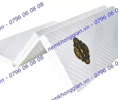 NỆM BÔNG ACNESS – GẤP 3