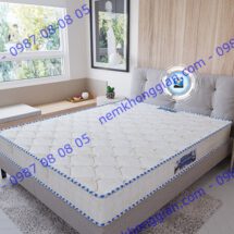 NỆM LÒ XO TÚI ACNESS