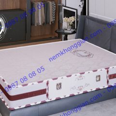 NỆM LÒ XO TÚI CAO SU GOLD 2 VIỀN