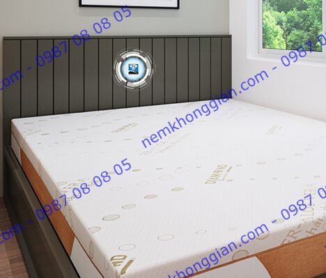 NỆM CAO SU MOUSSE ALOEVERA SLEEP 01